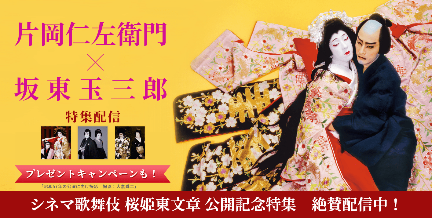 ３冊組 孝夫・玉三郎 桜姫東文章 こんぴら歌舞伎 歌舞伎読本 希少本