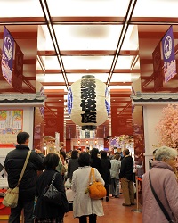 歌舞伎座「鳳凰祭三月大歌舞伎」初日開幕