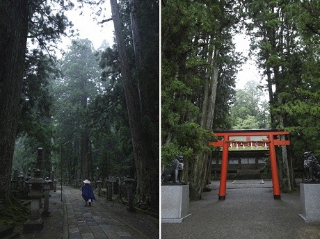 高野聖紀行