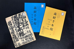 2508_otani_thum_8fb1be126300d1