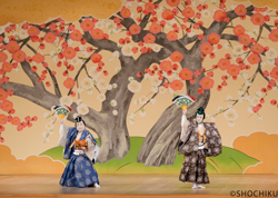 『萬歳』左より、中村鴈治郎、中村又五郎 歌舞伎座「壽 初春大歌舞伎」初日開幕