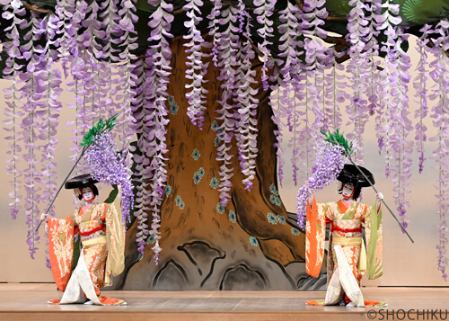 南座「市川團十郎 特別公演」が開幕