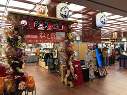 歌舞伎座「吉例顔見世大歌舞伎」初日開幕