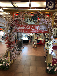 桜の猫アーチも登場 歌舞伎座「四月大歌舞伎」初日開幕