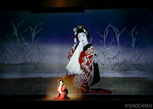 『鷺娘』坂東玉三郎 歌舞伎座『口上』『鷺娘』玉三郎コメント映像公開