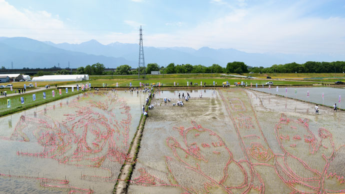 勘九郎、七之助「二人桃太郎記念 田んぼアート」田植えイベント