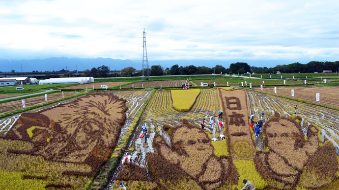 七緒八、哲之が「田んぼアート」稲刈りイベントに登場