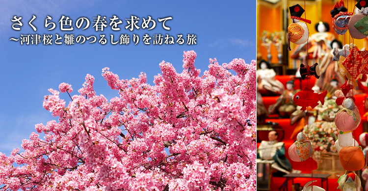 さくら色の春を求めて　?河津桜と雛のつるし飾りを訪ねる旅