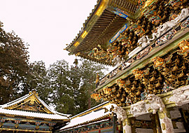 第四十回 芸術家の魂を揺さぶる冬の日光へ 東照宮から現代建築まで 歌舞伎美人