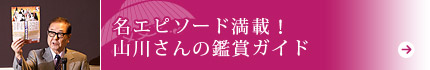 名エピソード満載！山川さんの鑑賞ガイド