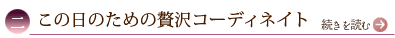 二、この日のための贅沢コーディネイト