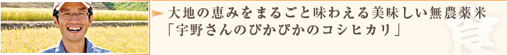 大地の恵みをまるごと味わえる美味しい無農薬米「宇野さんのぴかぴかのコシヒカリ」
