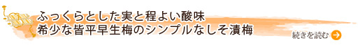 ふっくらとした実と程よい酸味 希少な皆平早生梅のシンプルなしそ漬梅