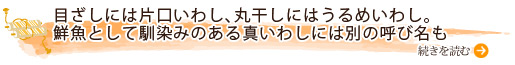 目ざしには片口いわし、丸干しにはうるめいわし。鮮魚として馴染みのある真いわしには別の呼び名も