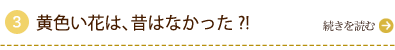 お手入れと棹の分解