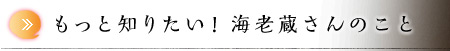 もっと知りたい！ 海老蔵さんのこと