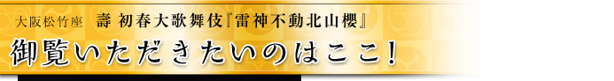 御覧いただきたいのはここ！