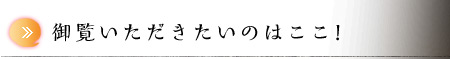 御覧いただきたいのはここ！