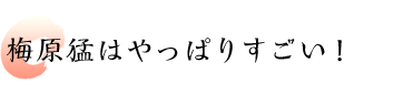 梅原猛はやっぱりすごい！