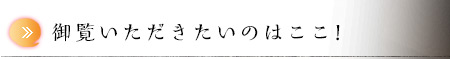 御覧いただきたいのはここ！