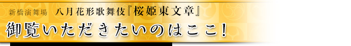 御覧いただきたいのはここ！