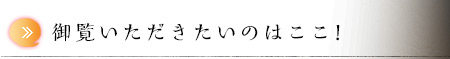 御覧いただきたいのはここ！