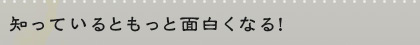 知っているともっと面白くなる！