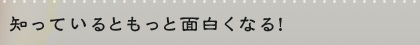 知っているともっと面白くなる！