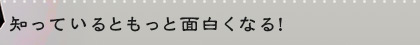 知っているともっと面白くなる！