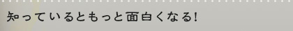 知っているともっと面白くなる！