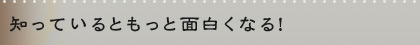 知っているともっと面白くなる！