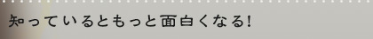 知っているともっと面白くなる！