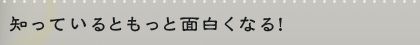 知っているともっと面白くなる！