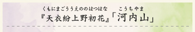 『天衣紛上野初花』「河内山」（くもにまごううえののはつはな　こうちやま）