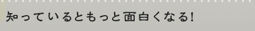 知っているともっと面白くなる！