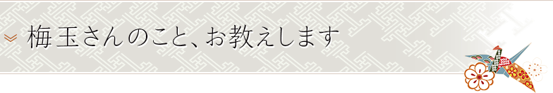 梅玉さんのこと、お教えします